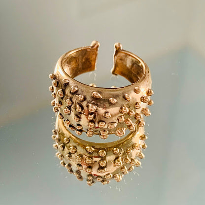 "Speciale" Ear Cuff